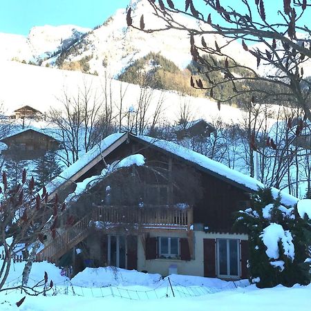 Magnifique T3 Entre Lac Et Montagne Pres D'Annecy Montmin Esterno foto
