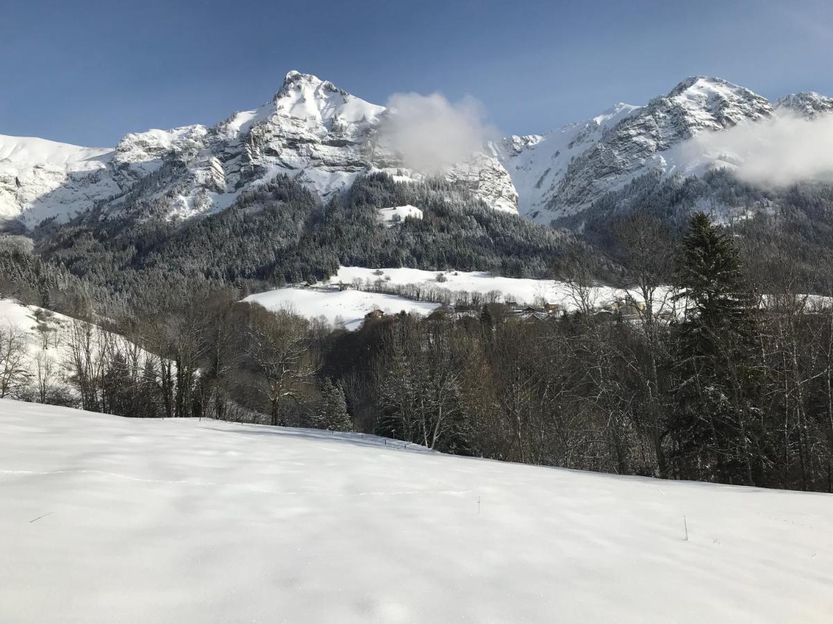 Magnifique T3 Entre Lac Et Montagne Pres D'Annecy Montmin Esterno foto