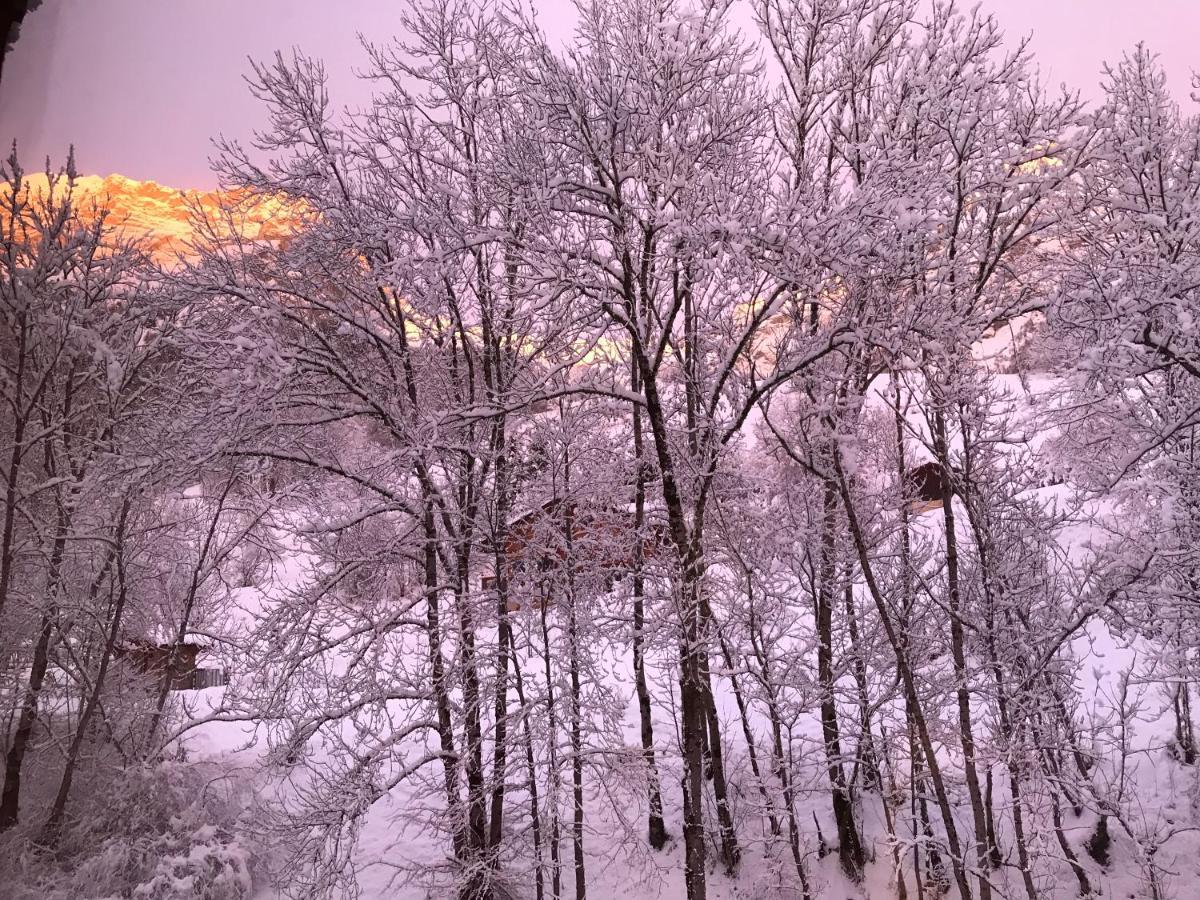 Magnifique T3 Entre Lac Et Montagne Pres D'Annecy Montmin Esterno foto